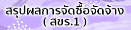 banner-skr1