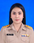 พีรญา ประชากุล